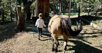Equi-Feel Good - Initiation "Baby Chuchoteur"