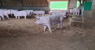 EARL Lou Cayon - La ferme des Carmes EARL Lou Cayon - La ferme des Carmes
