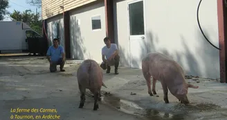 EARL Lou Cayon - La ferme des Carmes EARL Lou Cayon - La ferme des Carmes