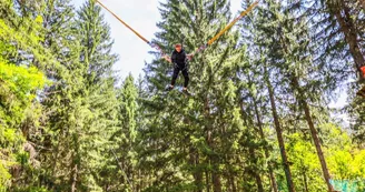 Parcours aventure : La Forêt Magique Parcours aventure : La Forêt Magique