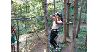 Parcours aventure : La Forêt Magique Parcours aventure : La Forêt Magique