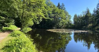 Étang de Huchère Étang de Huchère