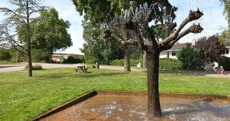 Aire de pique-nique de Delme Aire de pique-nique de Delme