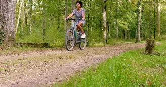 Forêt parc