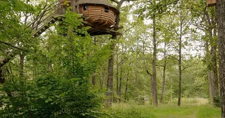 Forêt parc