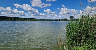 Étang de Perroi