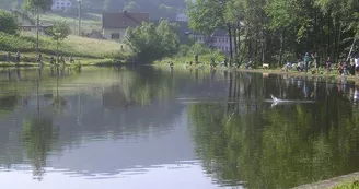 Étang du Faing Étang du Faing
