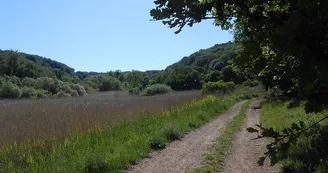 Aire de pique-nique de Varsberg - étang de la vallée