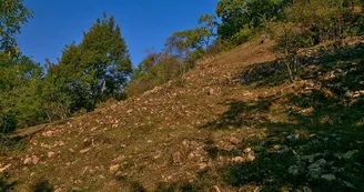 Réserve naturelle de hammelsberg Réserve naturelle de hammelsberg
