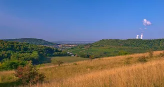 Réserve naturelle de hammelsberg Réserve naturelle de hammelsberg