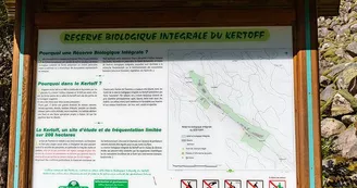 La réserve biologique intégrale du Kertoff La réserve biologique intégrale du Kertoff