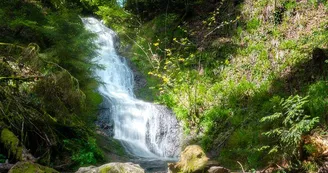 Le saut de la bourrique