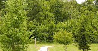 Arboretum Arboretum