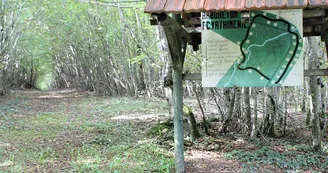 Arboretum de Vathiménil Arboretum de Vathiménil
