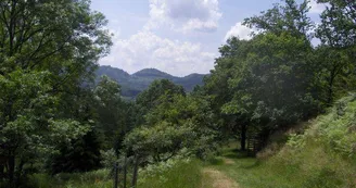 Arboretum