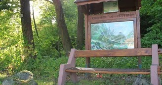 Forêt communale de Zetting Forêt communale de Zetting