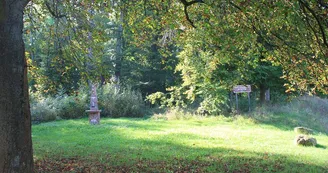 Forêt communale de Zetting Forêt communale de Zetting