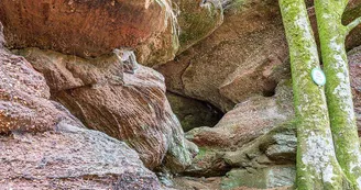 Grotte de Danne Grotte de Danne