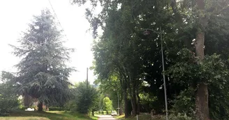 Allée des Chênes Allée des Chênes
