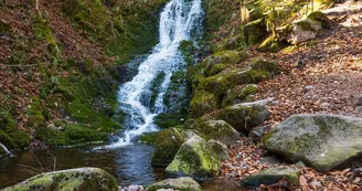 Cascade du cuisinier