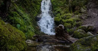Cascade du cuisinier