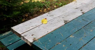 Aire de pique-nique du Warndtpark