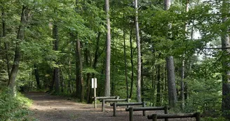 Parcours de santé