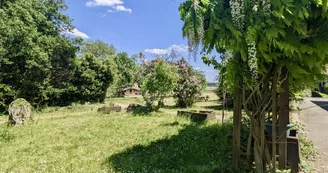 41A-jardin 2