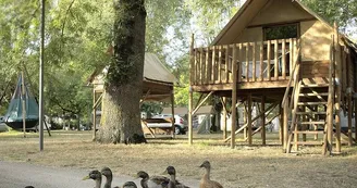 Camping Onlycamp Le Sabot - Azay-le-Rideau