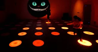 Bouncinng light et le chat