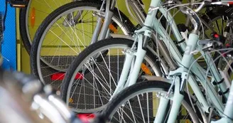 Wheel Free