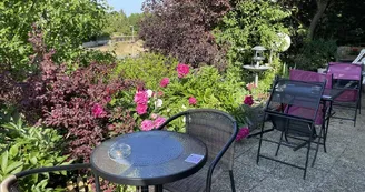 Terasse tourhotel Terasse tourhotel