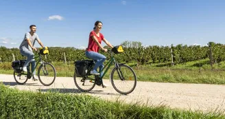 Balade les vélos verts