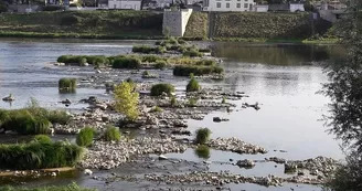 JAR-loire-pont-medieval-20170820-01-FR-OTI