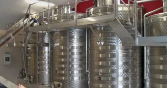 Domaine-Michel-Thomas-et-Fils3 Domaine-Michel-Thomas-et-Fils3
