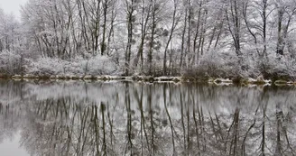 Ouzouer sur Trézée-gite du canal les fichus-L'étang des Fichus