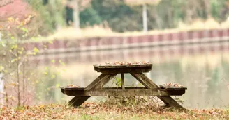 Ouzouer sur Trézée-gite du canal les fichus-Au bord du canal