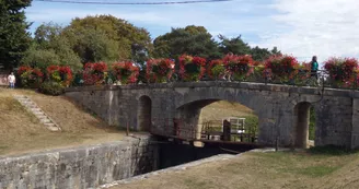 Châtillon sur Loire  les Combles - 10 septembre 2016 (17)