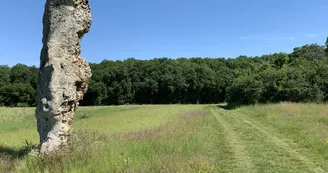 3CBO - Menhir de la Chaise - Louzouer (4)