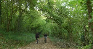 activite-de-pleine-nature-velo