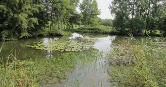 ENS - les prés du canal - Mézières-en-Brenne