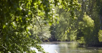 Canoë nature (1)