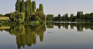 etang-st-martin
