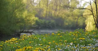 Bonny sur Loire - La Cheuille - 17 avril 2018 - OT Terres de Loire et Canaux - IRémy (2) Bonny sur Loire - La Cheuille - 17 avril 2018 - OT Terres de Loire et Canaux - IRémy (2)