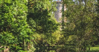 Mehun-sur-Yevre-Ad2T_du_Cher-6168