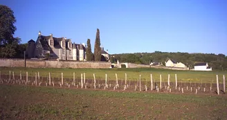 chateau-la_vauguyon01