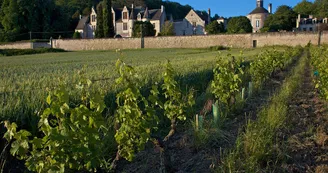 chateau-la_vauguyon02