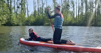 paddle
