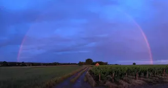 Domaine Siret