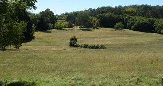 Le Petit Manoir de Malbernat : Tournesol